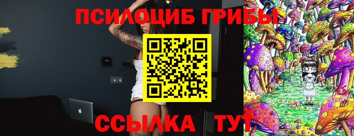 Белово  Псилоцибиновые грибы MAGIC MUSHROOMS  Вход с VPN 