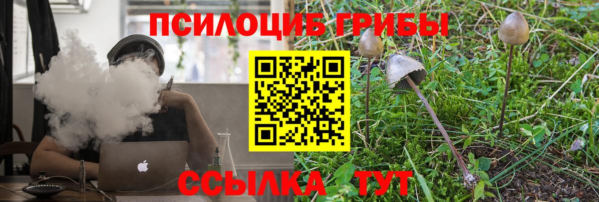 Псилоцибиновые грибы Psilocybe Белово
